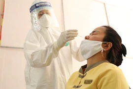 Nhân viên y tế lấy mẫu xét nghiệm COVID-19. Ảnh minh họa. (Nguồn: TTXVN)