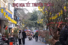 Chợ hoa Tết Hàng Lược, Hà Nội. (Ảnh: Hoàng Hiếu/TTXVN)