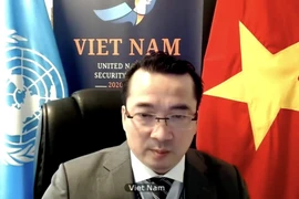 Đại sứ Phạm Hải Anh, Đại biện lâm thời của Việt Nam tại LHQ. (Ảnh: Hữu Thanh/TTXVN)