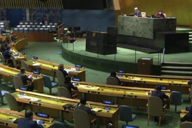 Đại hội đồng LHQ bỏ phiếu bầu thẩm phán Tòa án Công lý quốc tế. (Ảnh: Hữu Thanh/TTXVN)