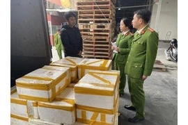 250kg cá khoai ướp phóc môn được đựng trong 25 thùng xốp bị lực lượng chức năng thu giữ. (Ảnh: Trịnh Duy Hưng/TTXVN)