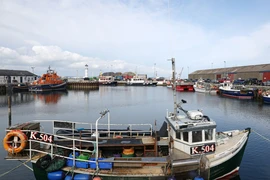 Tàu cá neo ở cảng Kirkwall thuộc Orkney, Anh ngày 6/9/2021. (Ảnh: AFP/TTXVN)