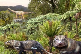 Loài Orretherium tzen hiện đã tuyệt chủng. (Nguồn: Reuters)