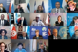 Việt Nam chủ trì cuộc họp định kỳ của HĐBA về vấn đề vũ khí hoá học tại Syria ngày 6/4. (Anhr: Khắc Hiếu/TTXVN)