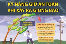[Infographics] Kỹ năng giữ an toàn khi xảy ra giông bão