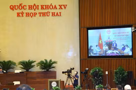 Đại biểu Quốc hội tỉnh Bình Định phát biểu trực tuyến. Ảnh: Văn Điệp/TTXVN)