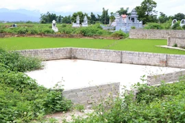 Hàng chục mét vuông đất nông nghiệp trồng lúa đã bị người dân xâm lấn, xây tường bao biến thành đất nghĩa trang. (Ảnh: Xuân Tiến/TTXVN)