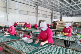Công nhân làm việc trở lại sau thời gian giãn cách. (Ảnh: Huỳnh Phúc Hậu/TTXVN)