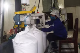 Đóng gói sản phẩm tại Nhà máy Mía đường Cao Bằng. (Ảnh: Chu Hiệu/TTXVN)