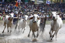 Thăm, chúc mừng nhân dịp lễ Sen Dolta của đồng bào Khmer 