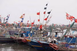 Quảng Ninh khẩn cấp di dân, Móng Cái mất điện trên diện rộng