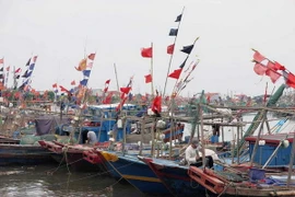 Quảng Ninh khẩn cấp di dân, Móng Cái mất điện trên diện rộng