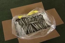 Bỏ thuốc chuột, phân người vào hàng xuất khẩu để được nghỉ việc