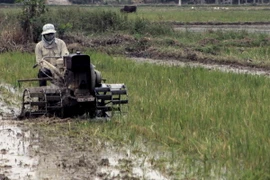 Việt Nam giành giải thưởng của IAEA về đột biến tạo giống lúa