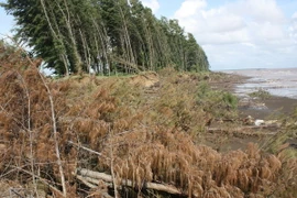 Khởi động kỹ thuật Dự án thích ứng biến đổi khí hậu vùng ĐBSCL