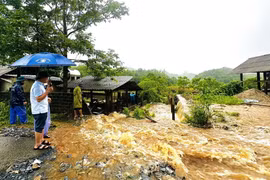 Lãnh đạo huyện Vị Xuyên kiểm tra các điểm ngập úng, sạt lở trên địa bàn. (Ảnh: Quỳnh Anh/TTXVN phát)