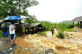 Lãnh đạo huyện Vị Xuyên kiểm tra các điểm ngập úng, sạt lở trên địa bàn. (Ảnh: Quỳnh Anh/TTXVN phát)