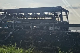 (Ảnh minh họa: TTXVN phát)