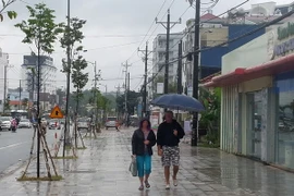 (Ảnh minh họa: Lê Sen/TTXVN)