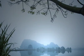 (Ảnh minh họa: Minh Đức/TTXVN)