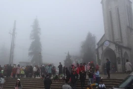 (Ảnh minh họa: Hương Thu/TTXVN)