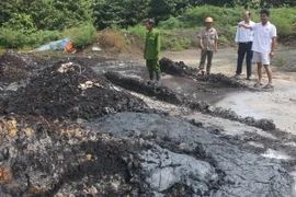 (Ảnh: Thanh Tân/TTXVN)