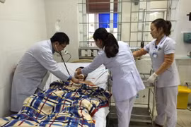 (Ảnh minh họa: Công Tường/TTXVN)