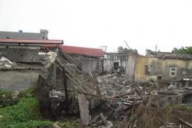 (Ảnh minh họa: Xuân Tiến/TTXVN)