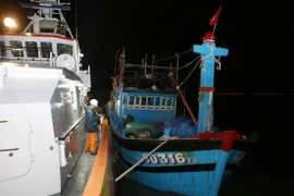 (Ảnh minh họa: Trần Lê Lâm/TTXVN)