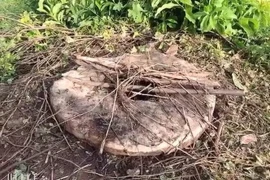 (Ảnh minh họa: TTXVN phát)