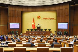 (Ảnh minh họa: Phương Hoa/TTXVN)