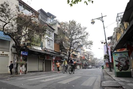 (Ảnh: Nhật Anh/TTXVN)