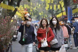 Chợ hoa Hàng Lược, Hà Nội. (Ảnh: Minh Quyết/TTXVN)