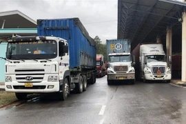 Các phương tiện vận tải hàng hóa đang chờ làm thủ tục thông quan tại Cửa khẩu Quốc tế Lao Bảo. (Ảnh: Thanh Thủy/TTXVN)