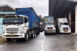 Các phương tiện vận tải hàng hóa đang chờ làm thủ tục thông quan tại Cửa khẩu Quốc tế Lao Bảo. (Ảnh: Thanh Thủy/TTXVN)