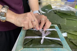 (Ảnh minh họa: Nguyễn Minh/TTXVN)