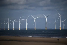 Trang trại gió ngoài khơi bờ biển Redcar, Anh. (Ảnh: AFP/TTXVN)