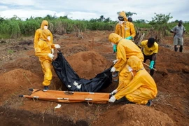 Nhân viên Liên hợp quốc nhiễm virus Ebola qua đời tại Đức