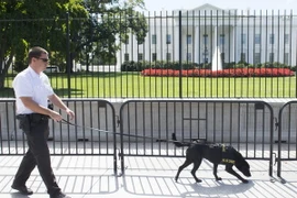 Nhà Trắng yêu cầu Cơ quan mật vụ giải trình về lỗ hổng an ninh