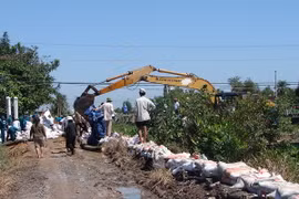 Sóc Trăng: Cù Lao Dung khắc phục xong đê bao bị vỡ
