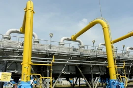 Ukraine hối thúc EU gây thêm sức ép với tập đoàn dầu khí của Nga