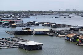 Bà Rịa-Vũng Tàu: Lật ghe trên sông Chà Và, một người chết