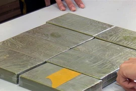 Ảnh chỉ có tính minh họa. (Nguồn: TTXVN)