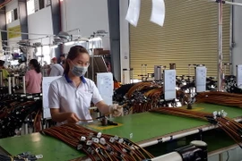 Sản xuất dây cáp điện tại một doanh nghiệp FDI. (Ảnh: Hoàng Nhị/TTXVN)