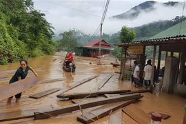 Ảnh chỉ có tính minh họa. (Ảnh: Duy Khánh/TTXVN)