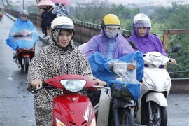 Ảnh chỉ có tính minh họa. (Ảnh: Lâm Khánh/TTXVN)