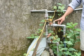 Ảnh chỉ có tính minh họa. (Ảnh: Phan Quân/TTXVN) 