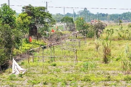Lều, bạt được các hộ dân dựng trái phép cặp kênh Bà Kiểng trong phần đất công do Nhà nước quản lý. (Nguồn: baolongan.vn)