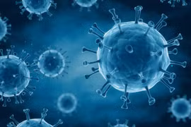 Phát hiện chủng virus HIV mới tại Cộng hòa Dân chủ Congo