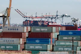 Hàng hóa từ Trung Quốc và các nước châu Á khác chờ bốc dỡ tại Cảng Los Angeles, bang California, Mỹ. (Nguồn: AFP/TTXVN)